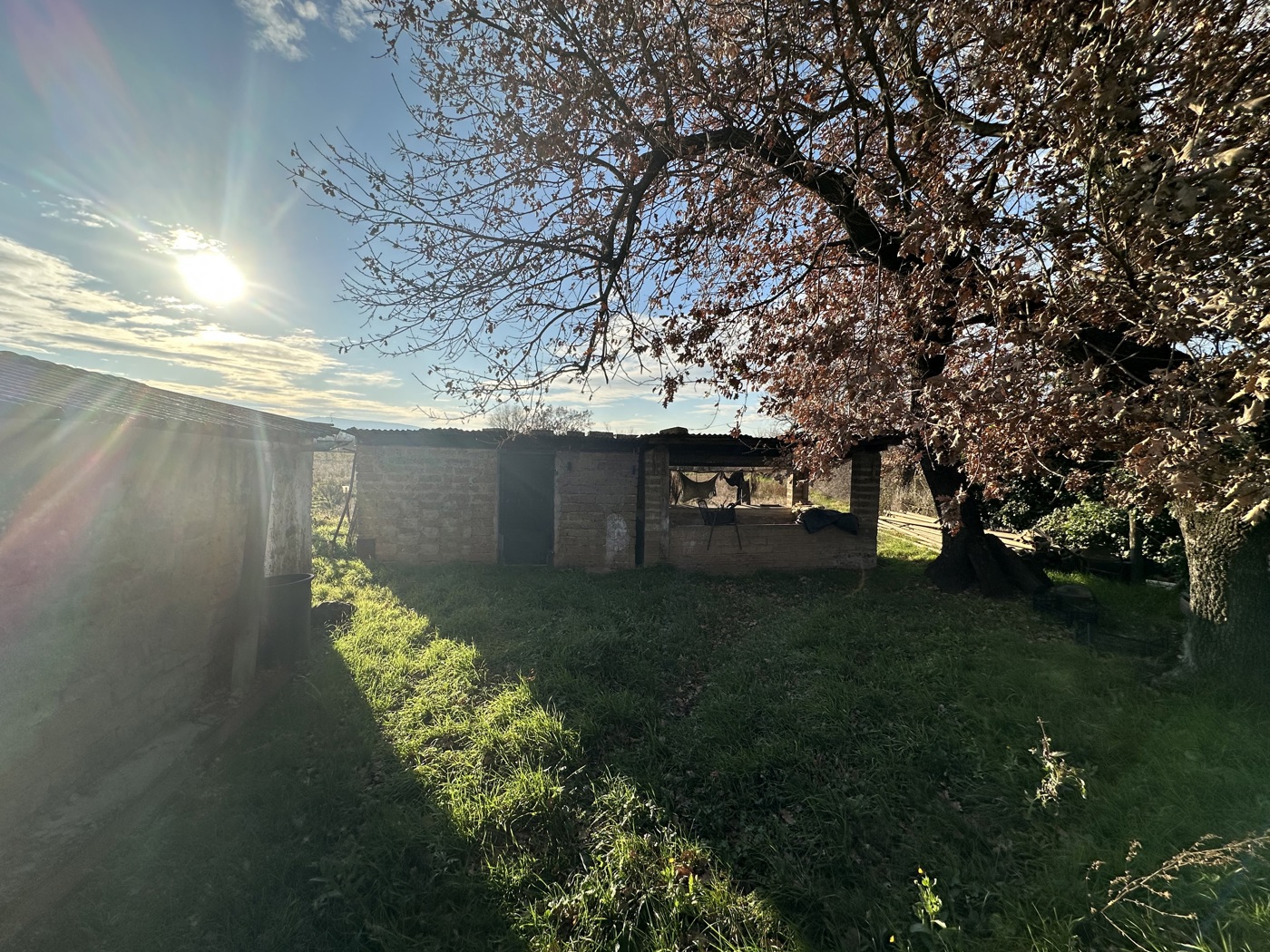 Terreno Agricolo in vendita a Nepi