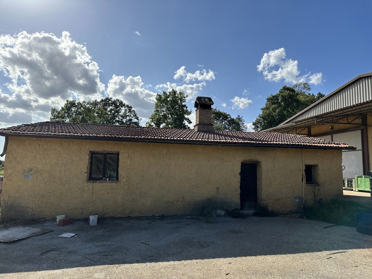 Magazzino in affitto a Nepi