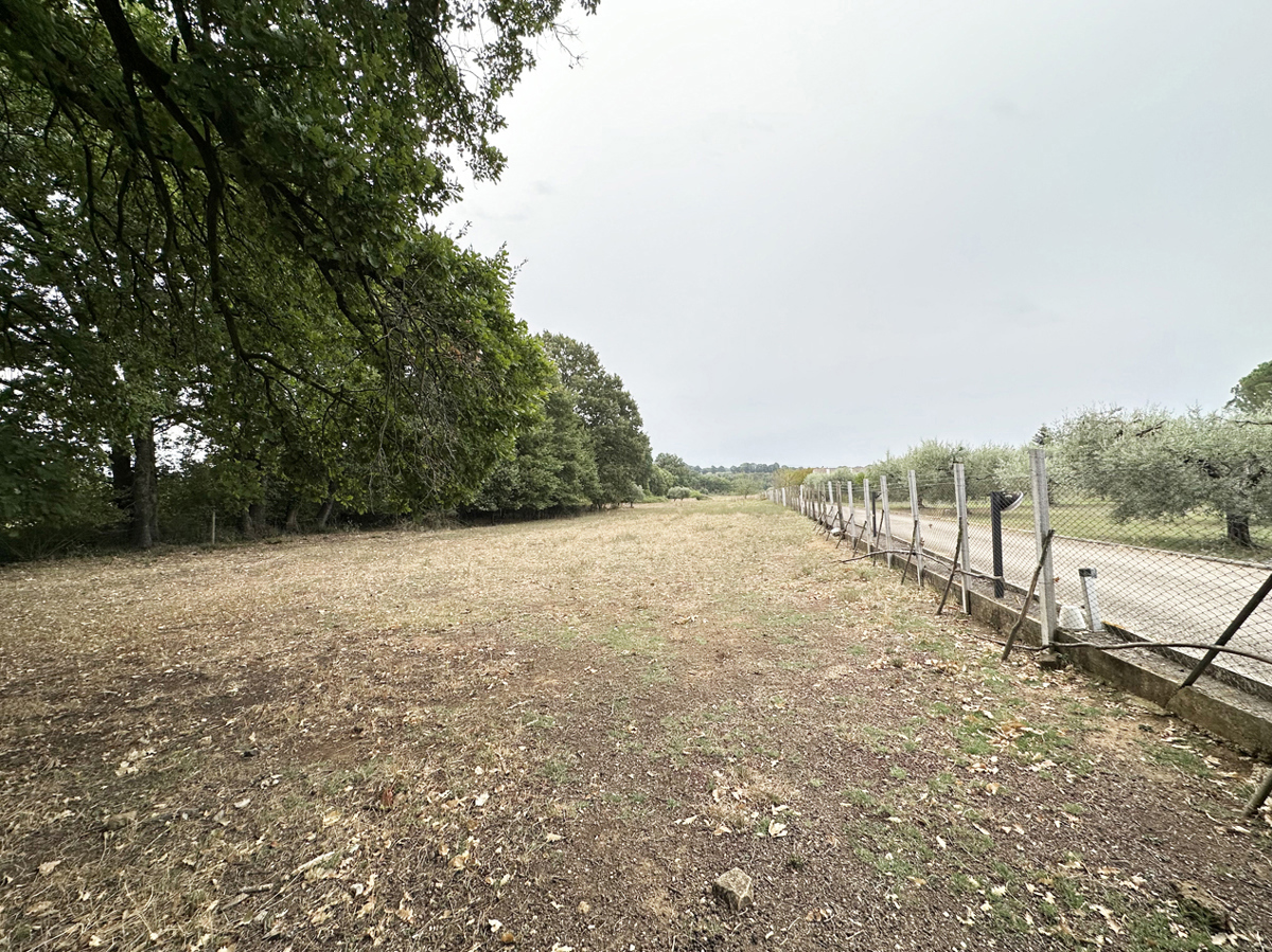 Terreno Edificabile in vendita a Nepi