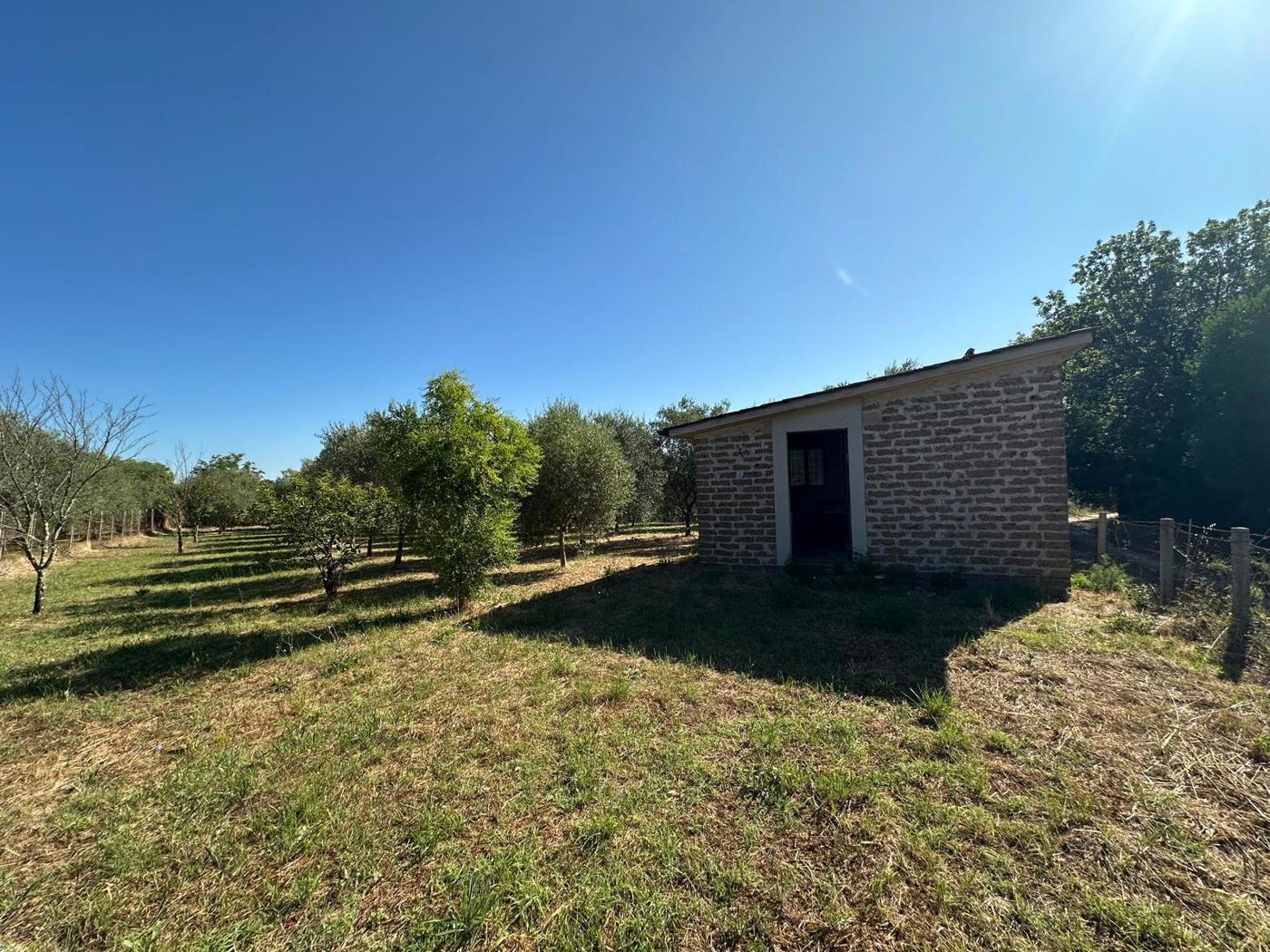 Terreno Agricolo in vendita a Castel Sant'Elia