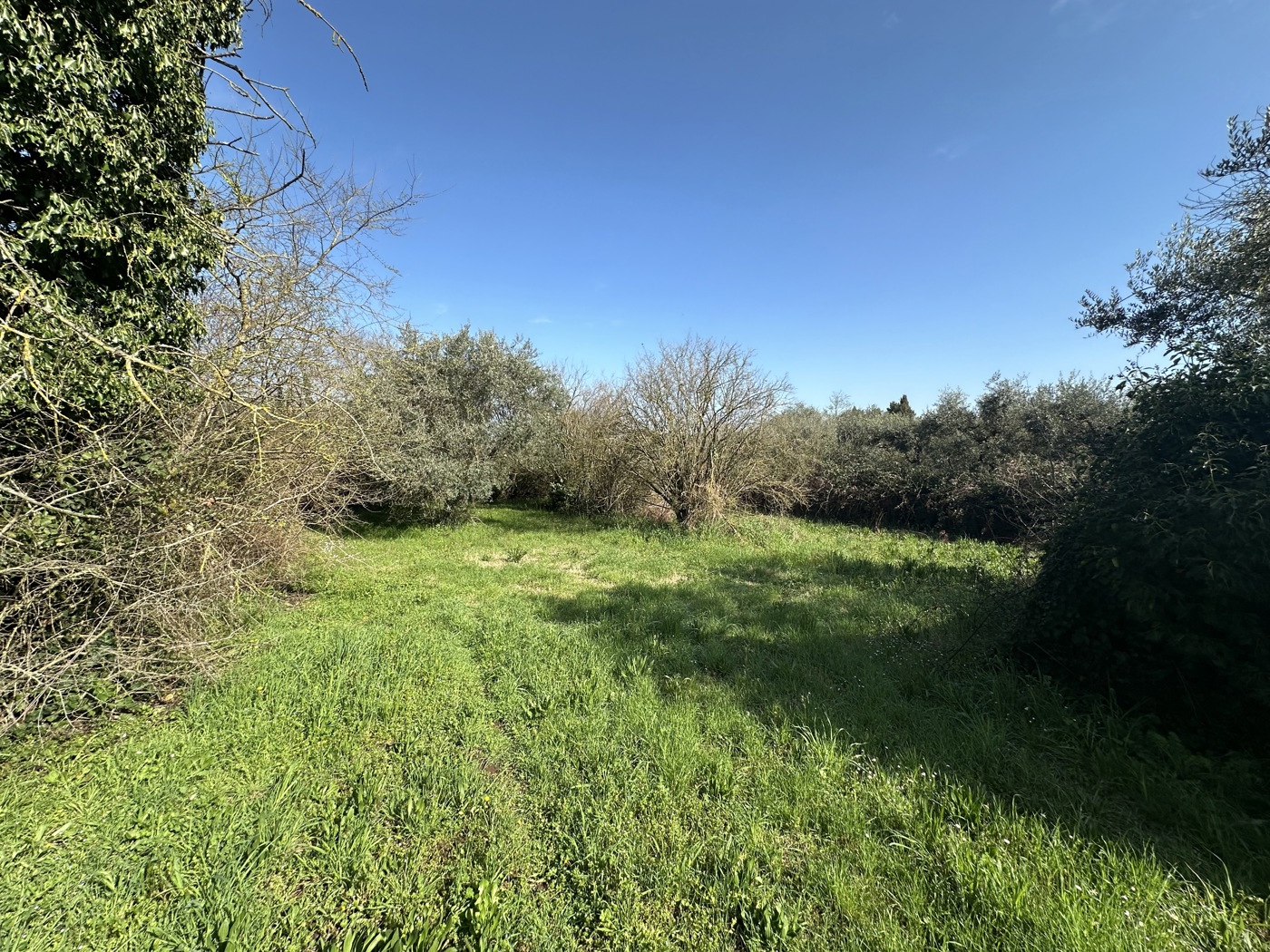 Terreno Agricolo in vendita a Castel Sant'Elia
