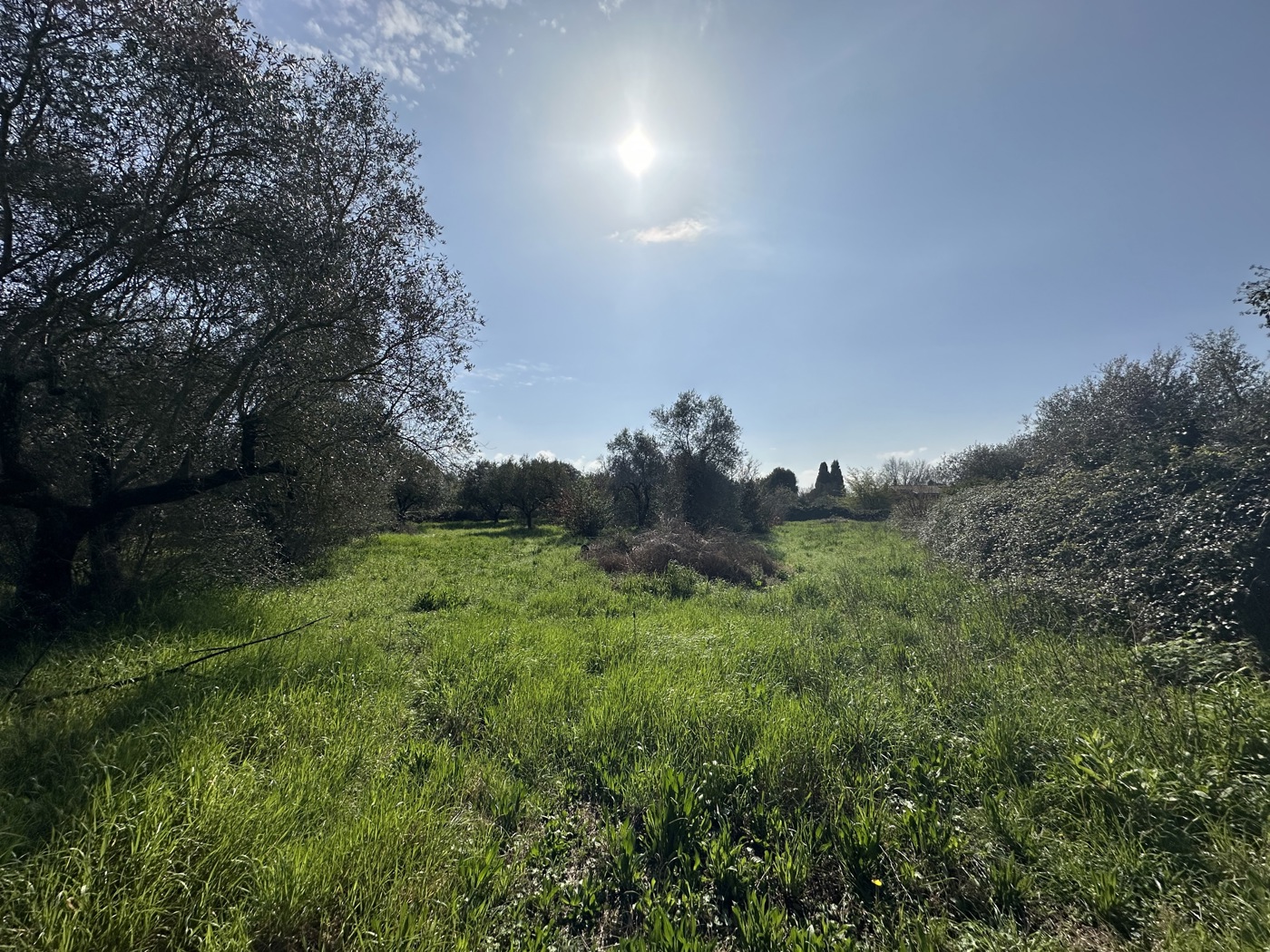 Terreno Agricolo in vendita a Castel Sant'Elia