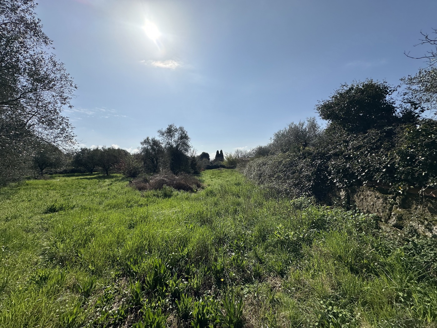 Terreno Agricolo in vendita a Castel Sant'Elia