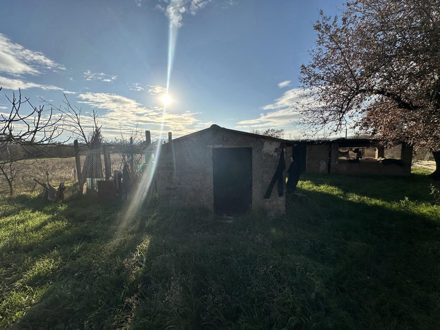 Terreno Agricolo in vendita a Nepi