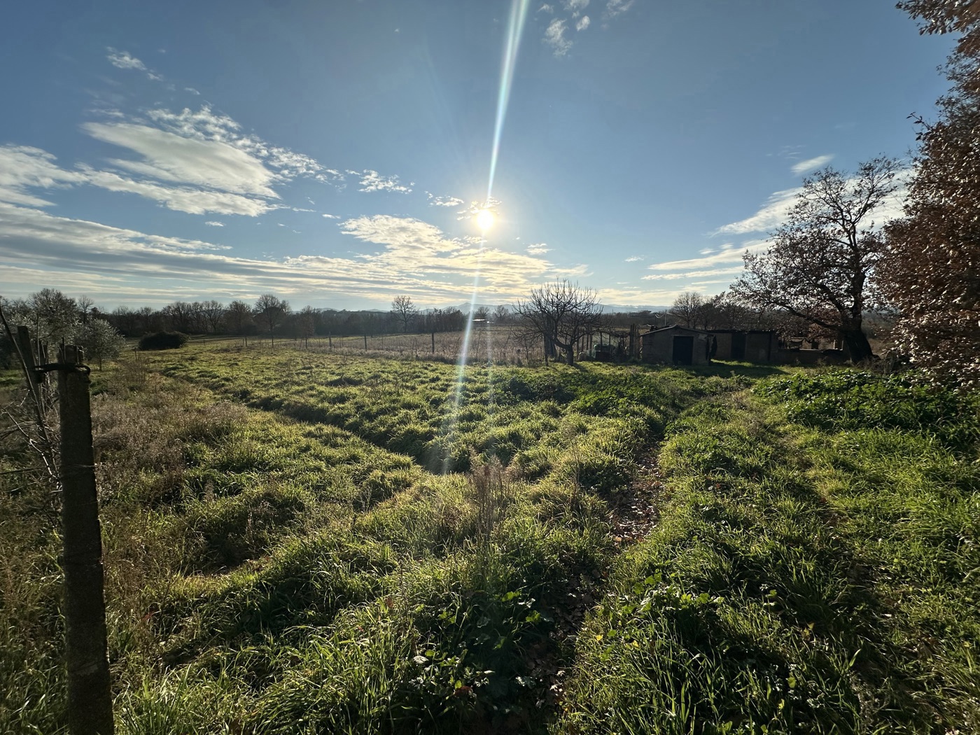 Terreno Agricolo in vendita a Nepi