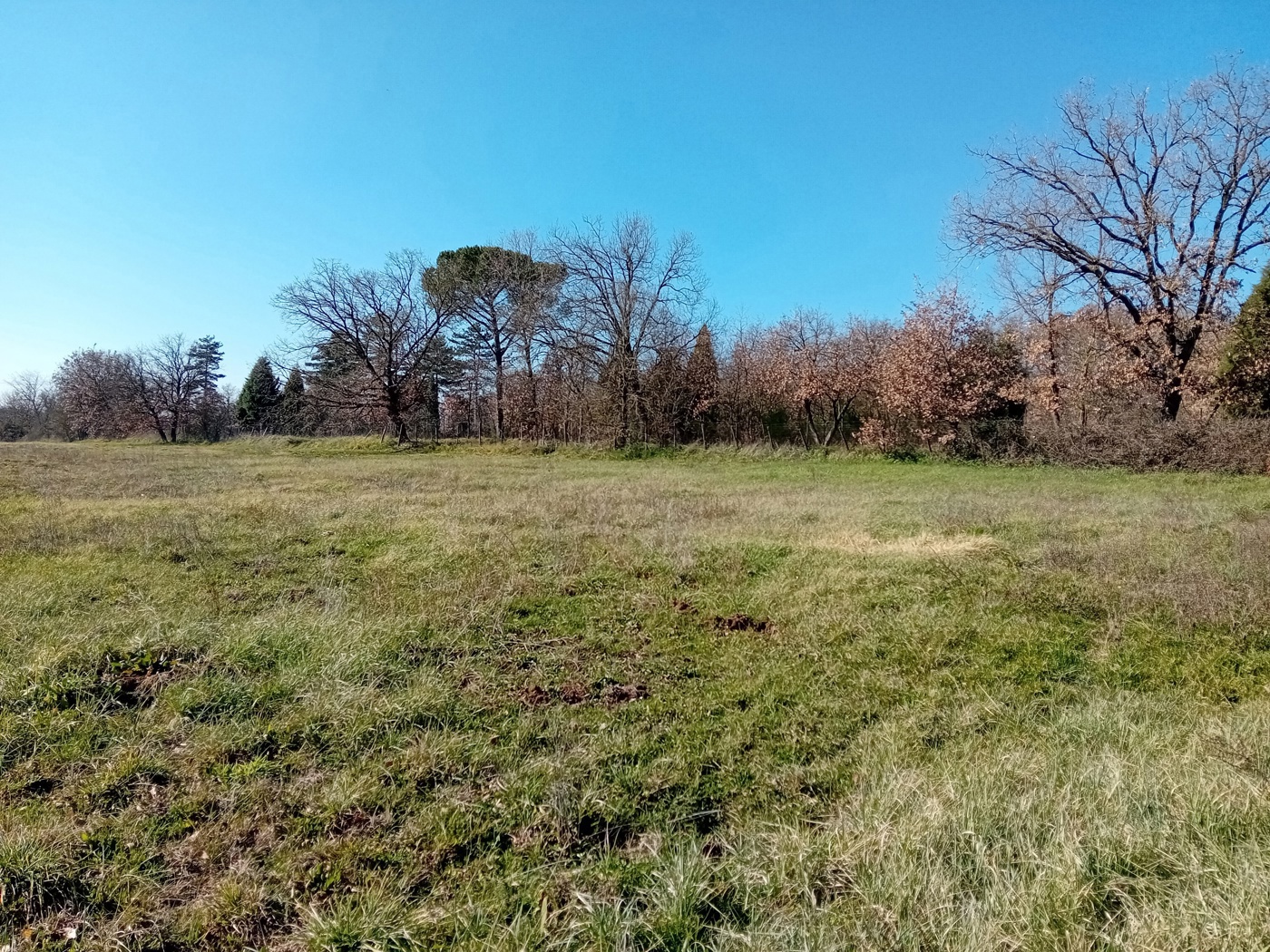 Terreno Edificabile in vendita a Nepi