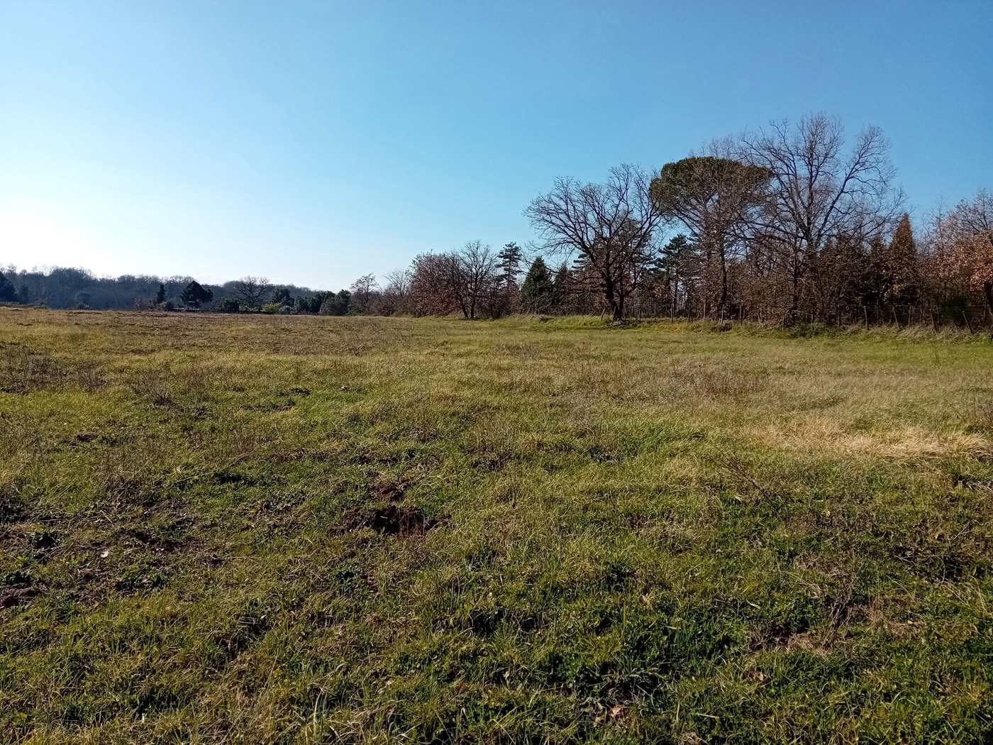 Terreno Edificabile in vendita a Nepi