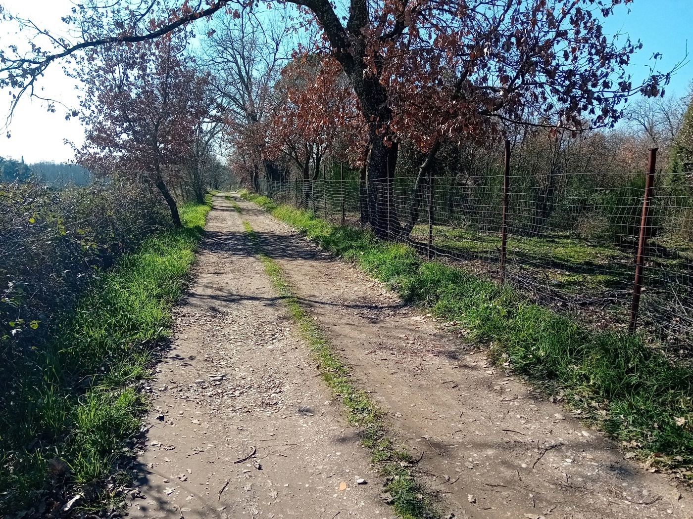 Terreno Edificabile in vendita a Nepi