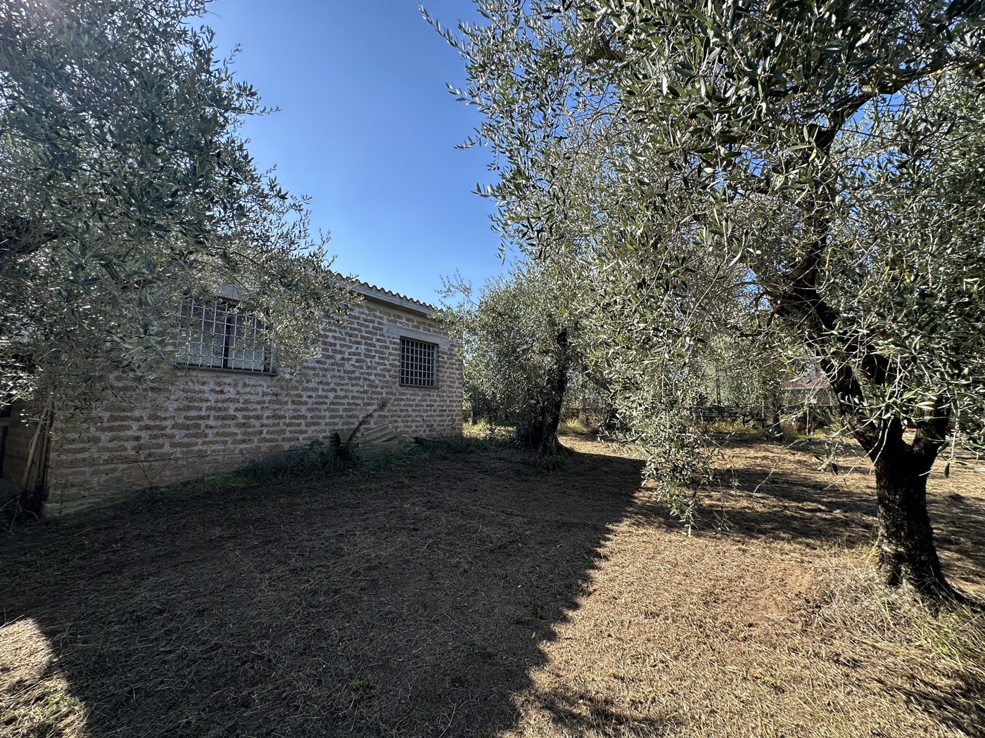 Terreno Agricolo in vendita a Castel Sant'Elia