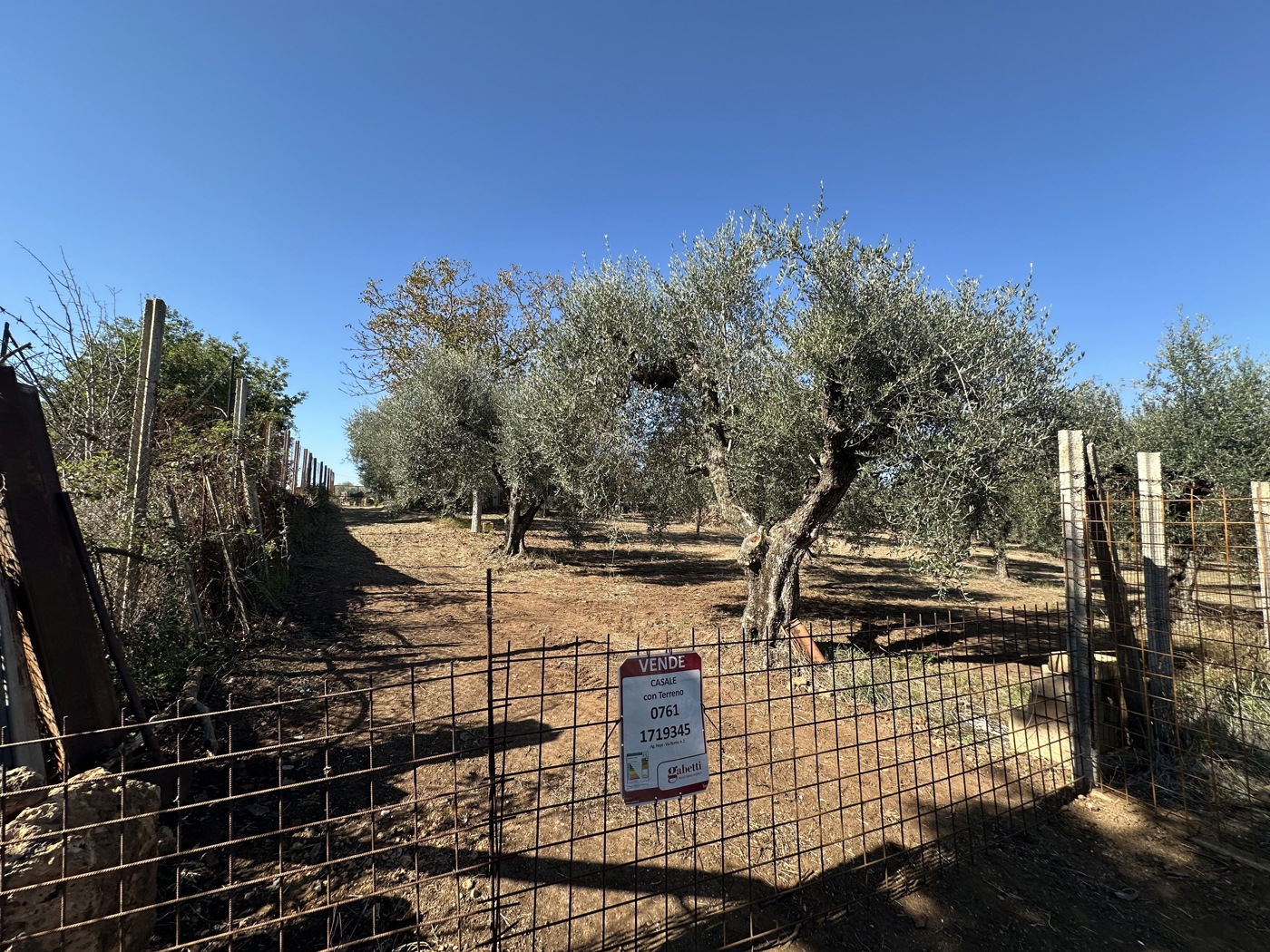 Terreno Agricolo in vendita a Castel Sant'Elia