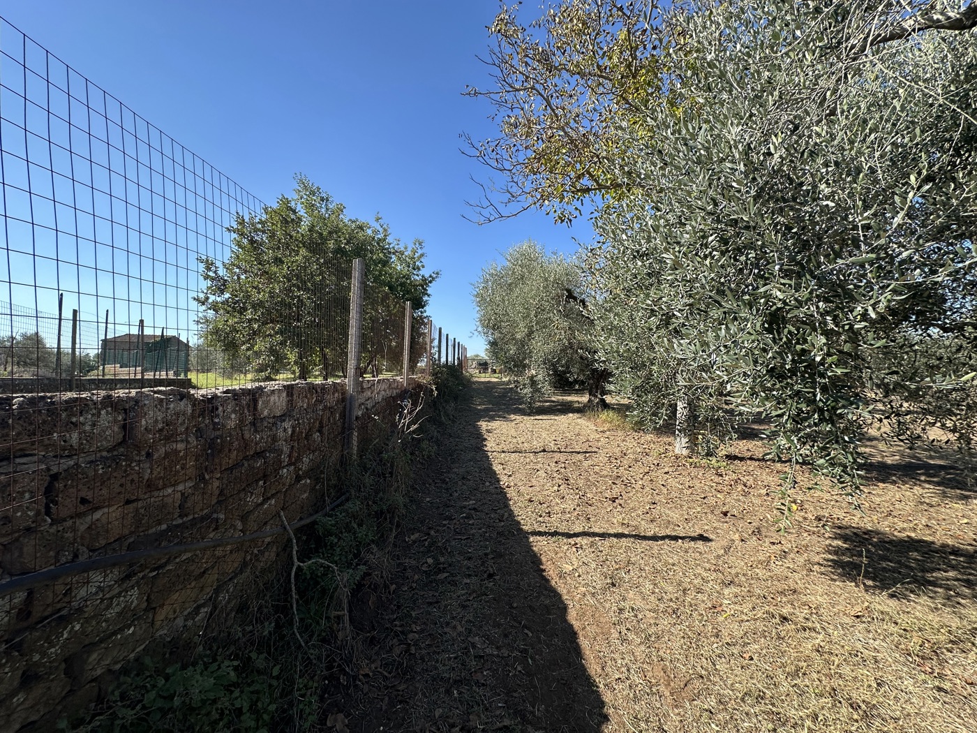 Terreno Agricolo in vendita a Castel Sant'Elia