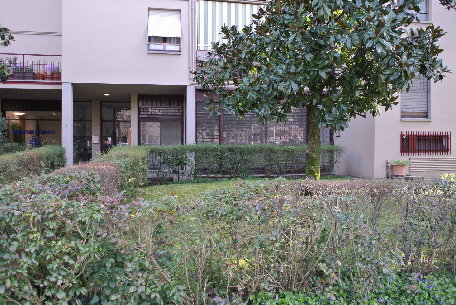 Locale commerciale in vendita a Fidenza