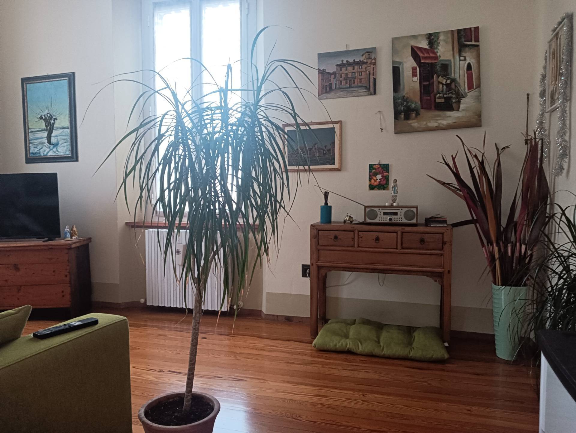 Appartamento in vendita a Fidenza