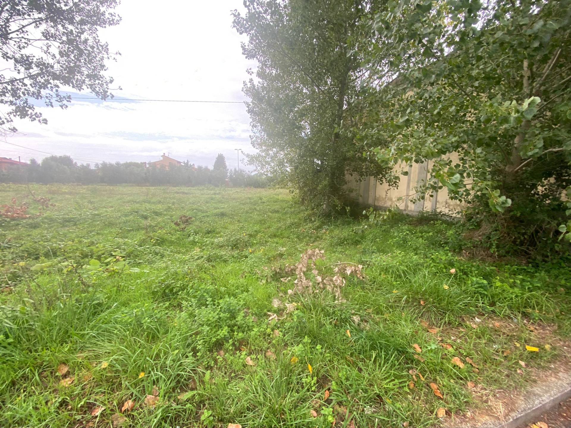 Terreno in vendita, Cascina san prospero