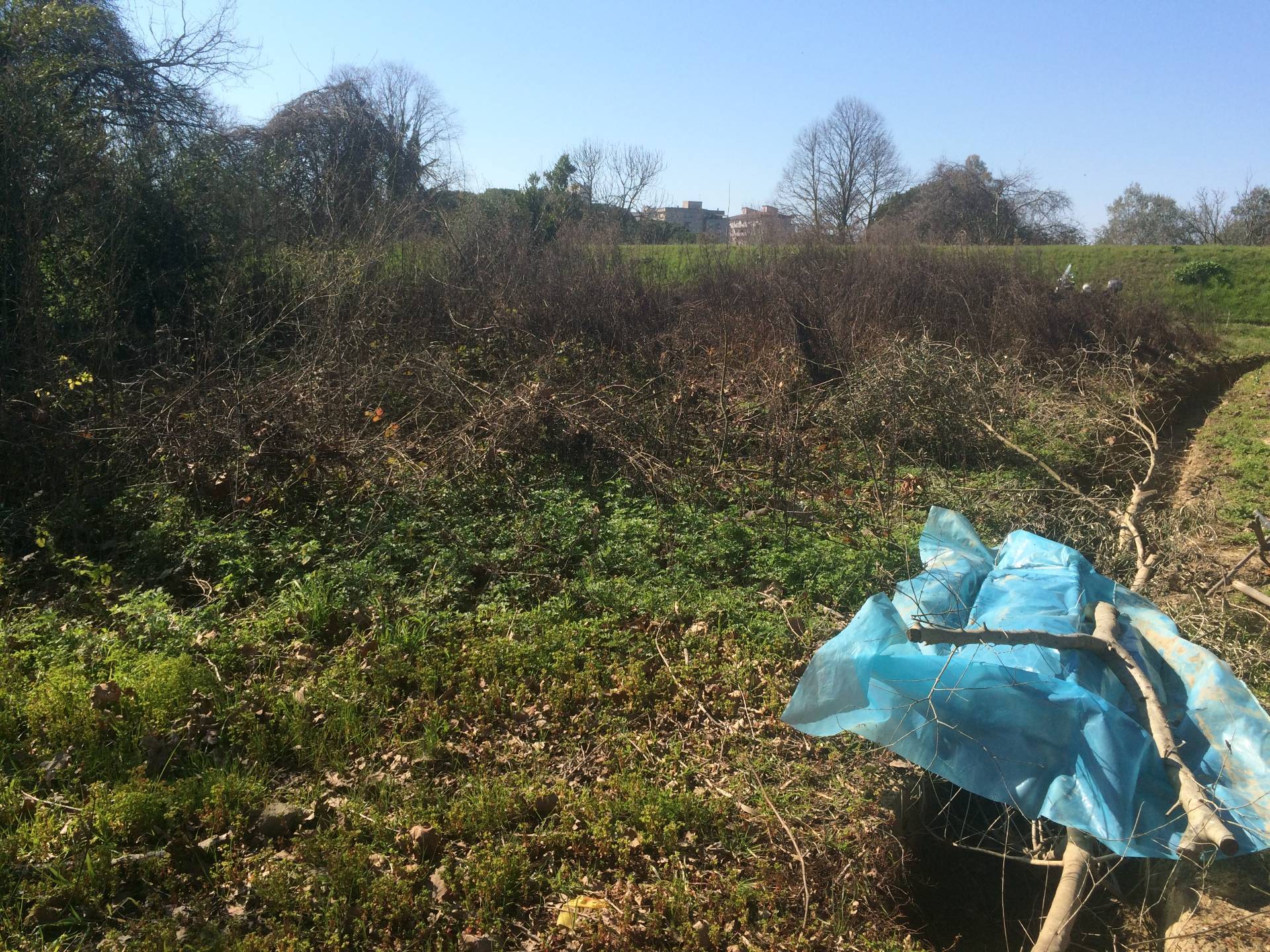 Terreno in vendita a San Giuliano Terme, Ghezzano