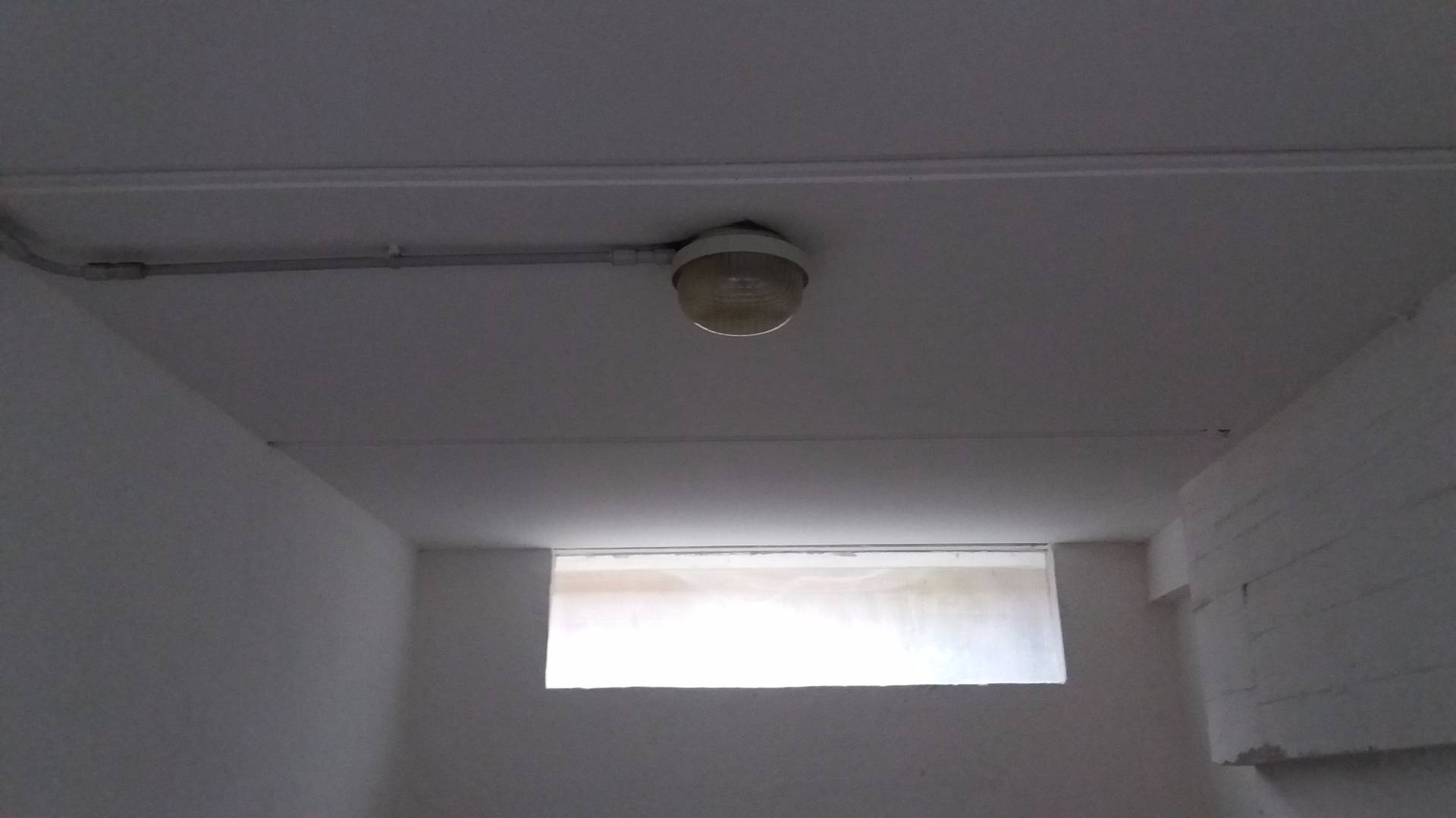 Garage/Box/Cantina/Posto Auto in affitto a Pisa, Pisanova