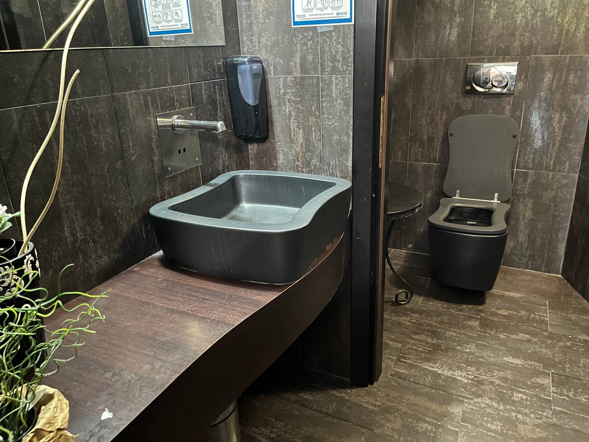 Attivit/licenza in affitto a Pisa, Tirrenia