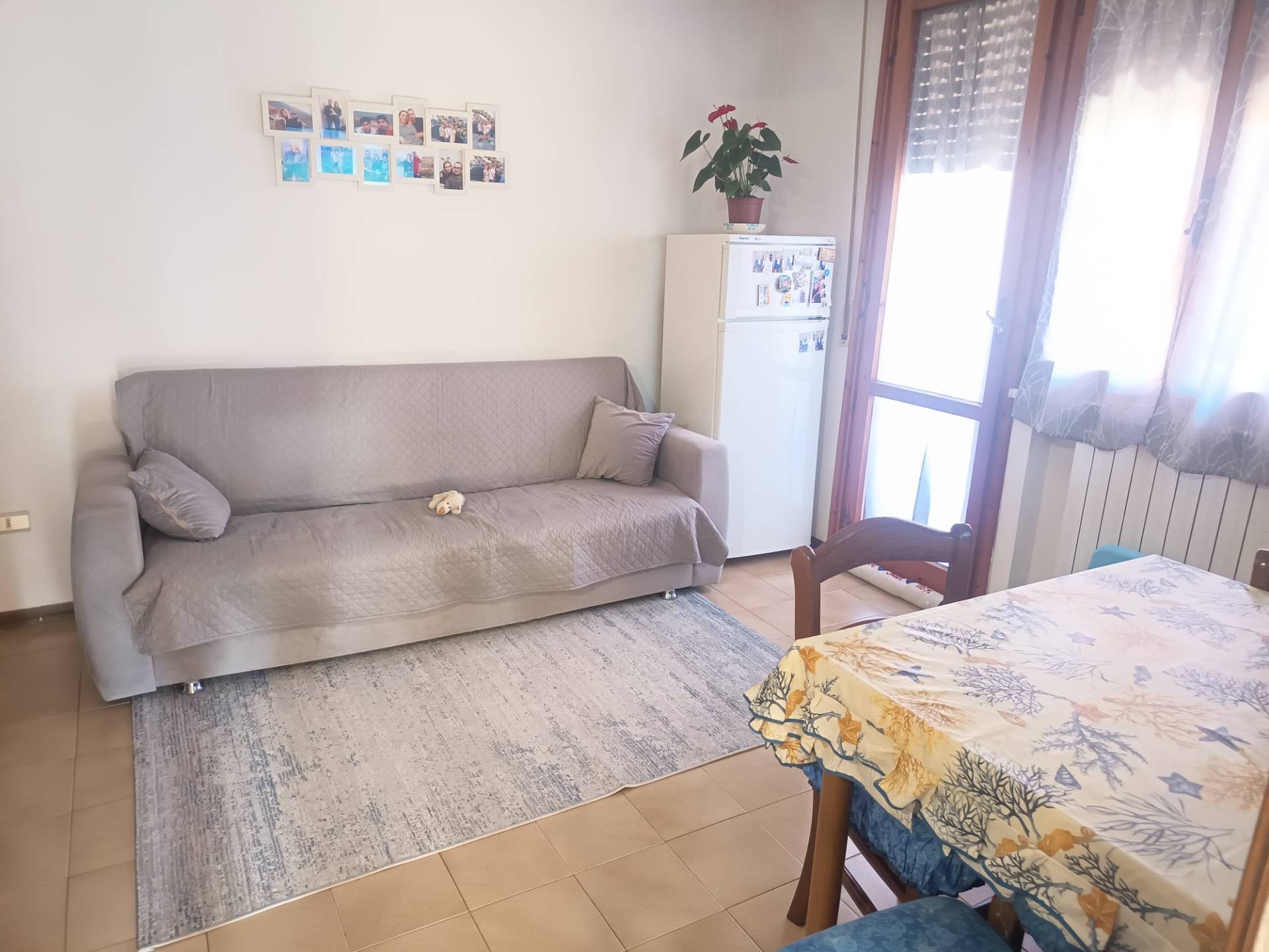 Appartamento in affitto a Pisa, Cisanello