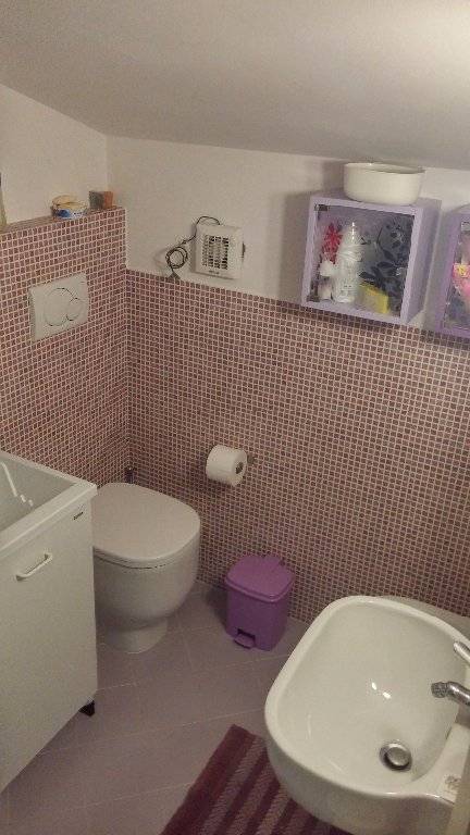 Appartamento in affitto a Pisa, Porta Fiorentina