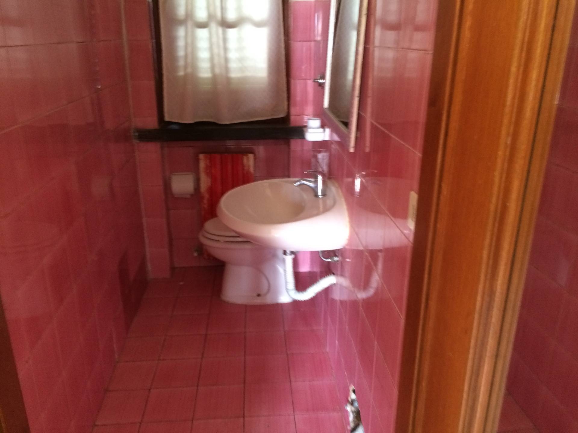 Casa indipendente in affitto a Vecchiano, Migliarino