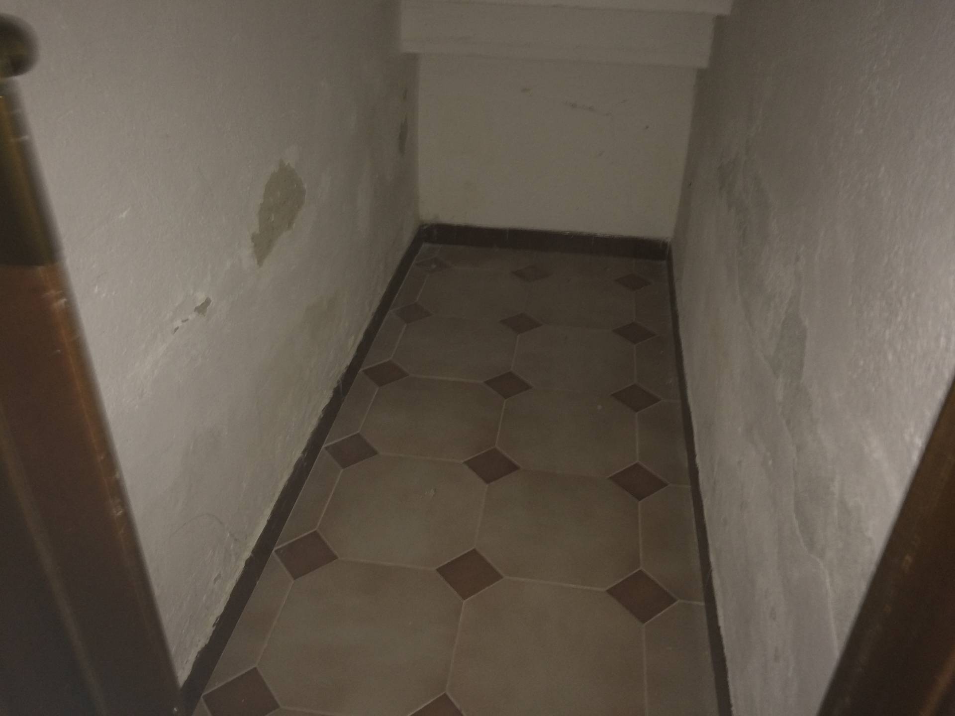 Casa indipendente in affitto a Vecchiano, Migliarino