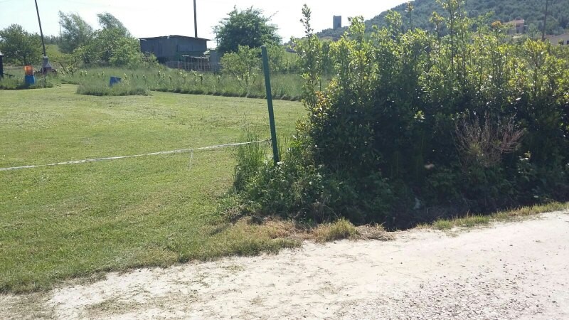 Terreno in affitto a Pisa, Piagge