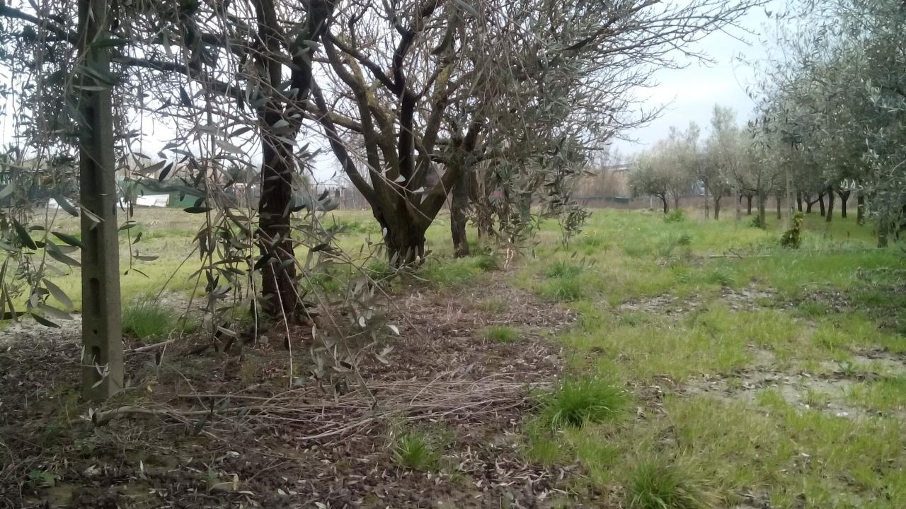Terreno in vendita a Pisa, Sant'Ermete