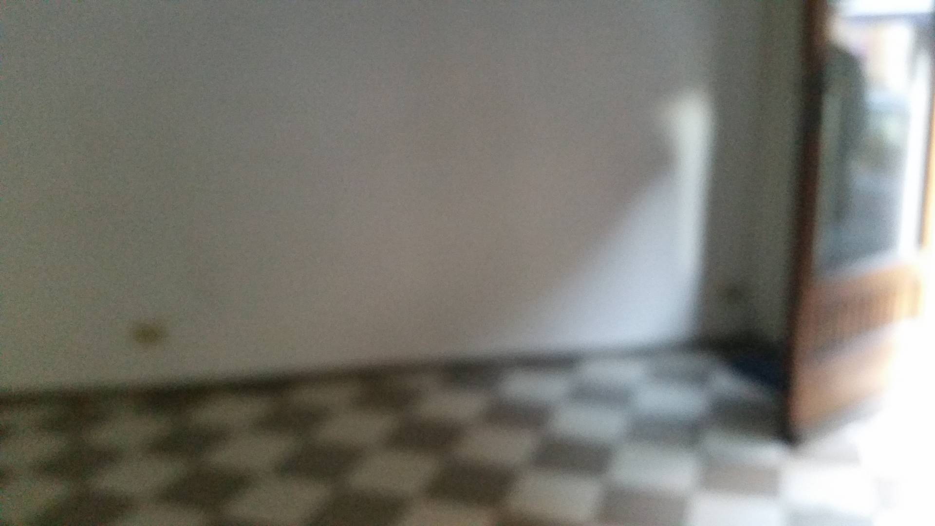 Fondo Commerciale in affitto a Pisa, Borghetto