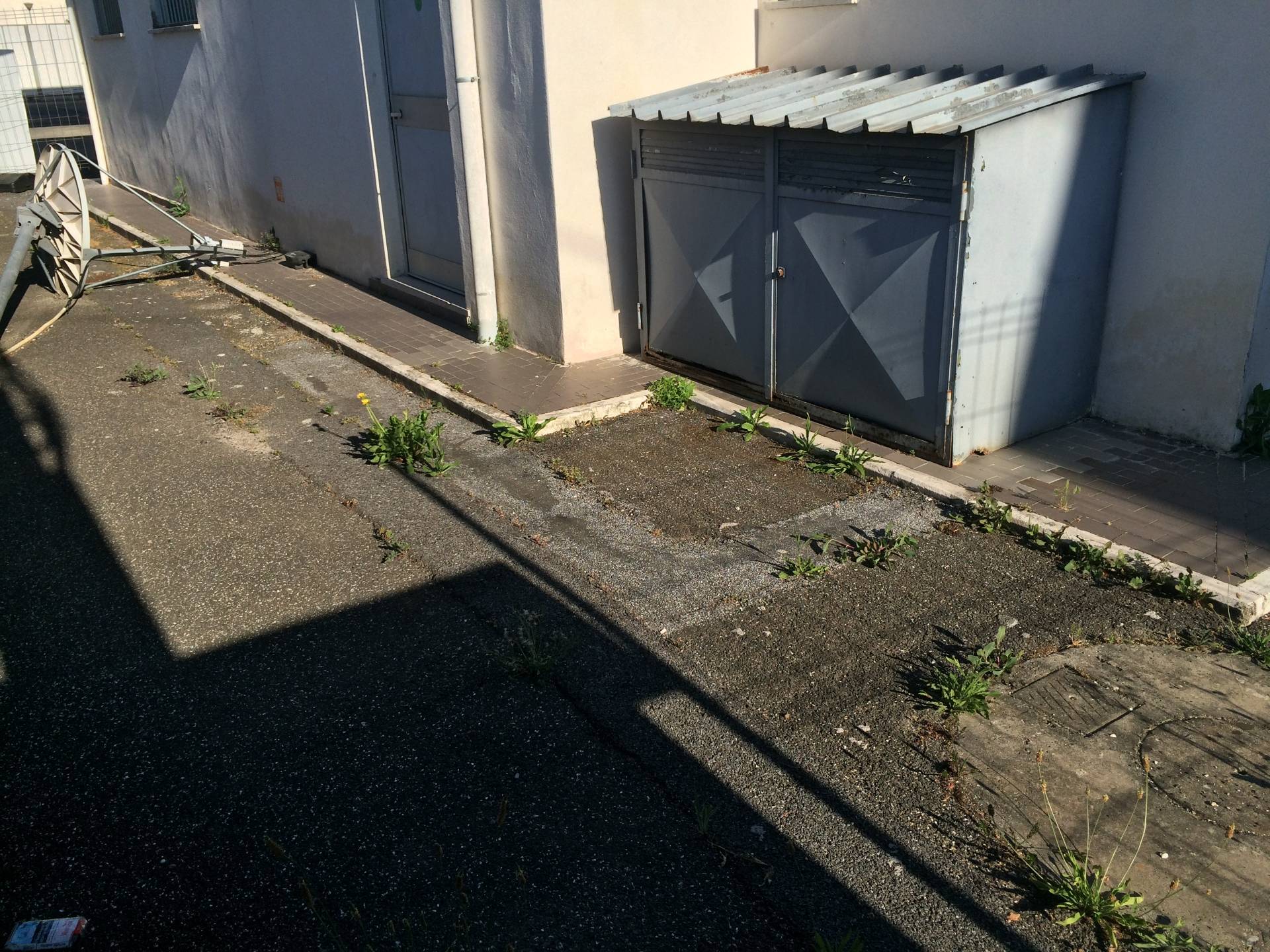 immagine annuncio 2 di 3