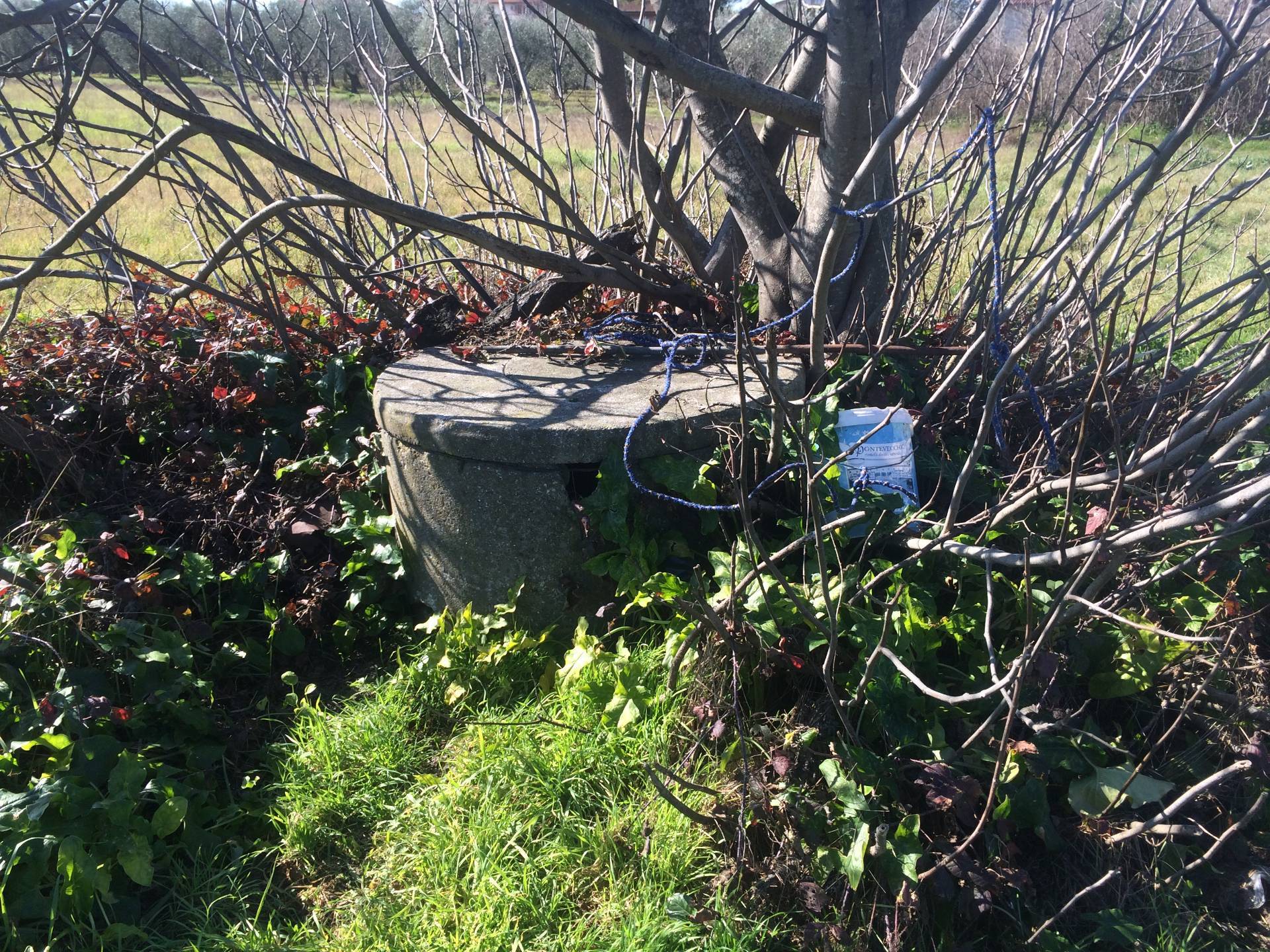 immagine annuncio 1 di 4