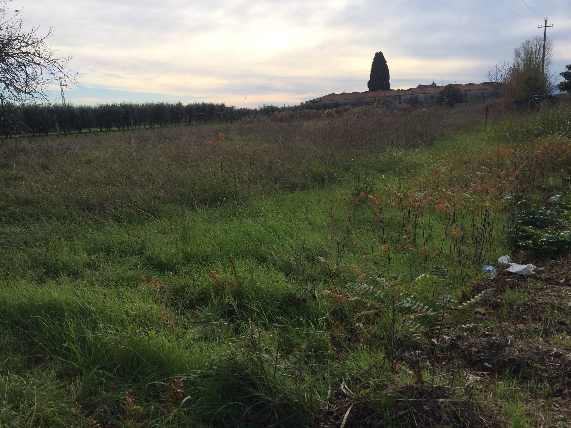 immagine annuncio 2 di 3