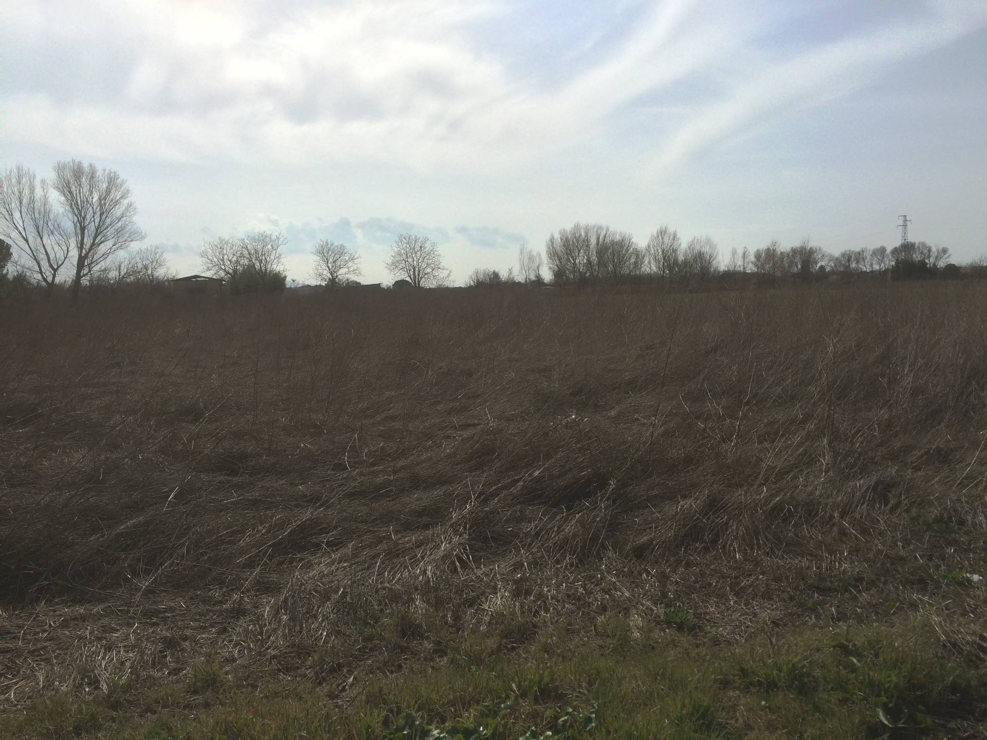 Terreno in vendita a Pisa, La Vettola