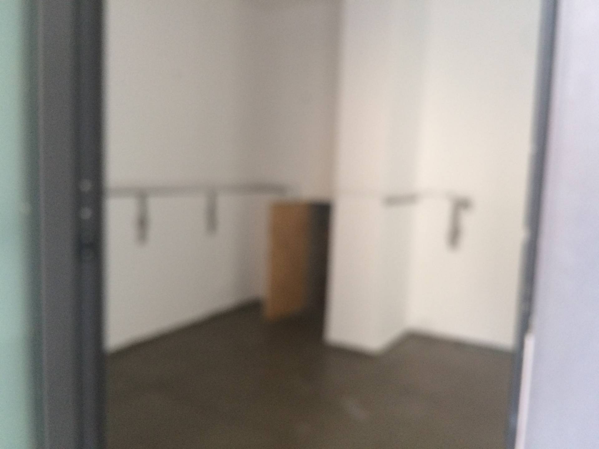 Fondo Commerciale in affitto a Pisa, San Martino