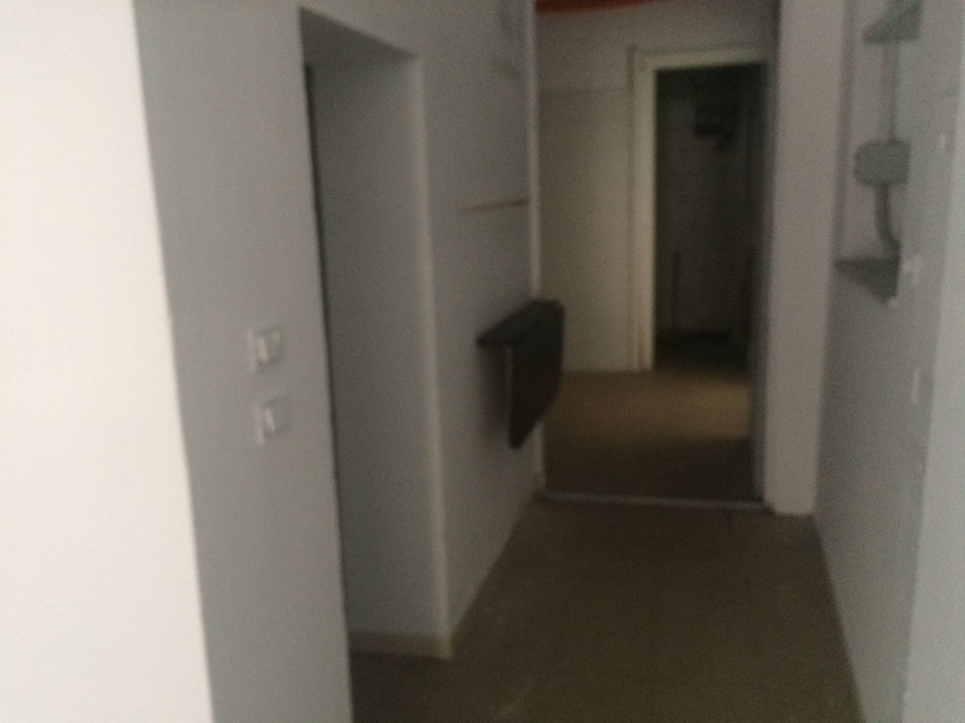 Fondo Commerciale in affitto a Pisa, San Martino