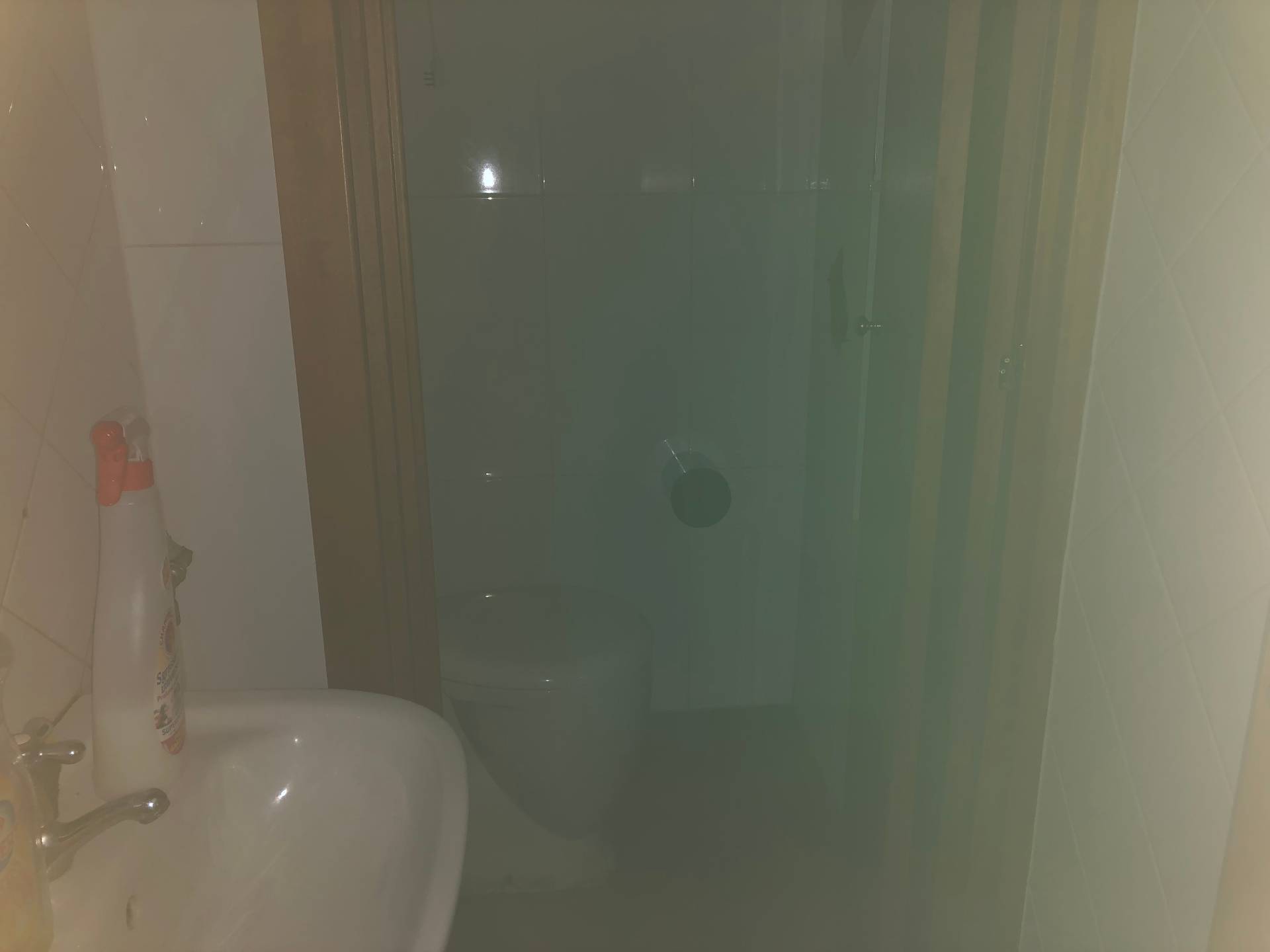 Attivit/licenza in affitto a Pisa, San Martino