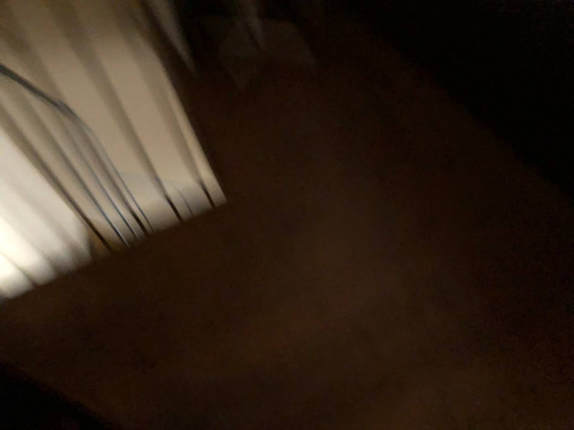 Attivit/licenza in affitto a Pisa, San Martino