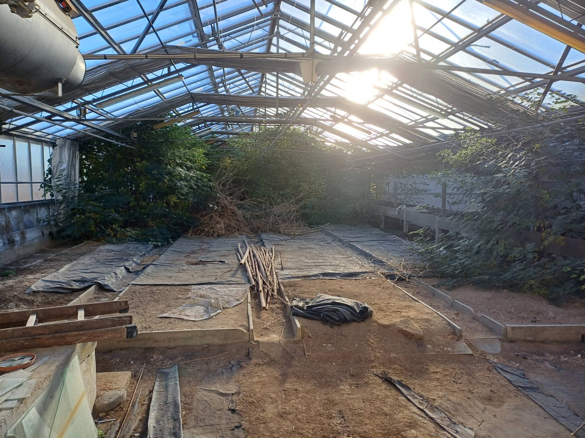 Terreno in vendita a San Giuliano Terme, Pappiana