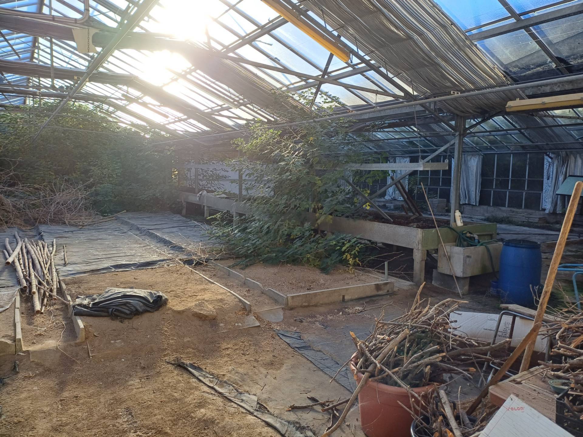 Terreno in vendita a San Giuliano Terme, Pappiana