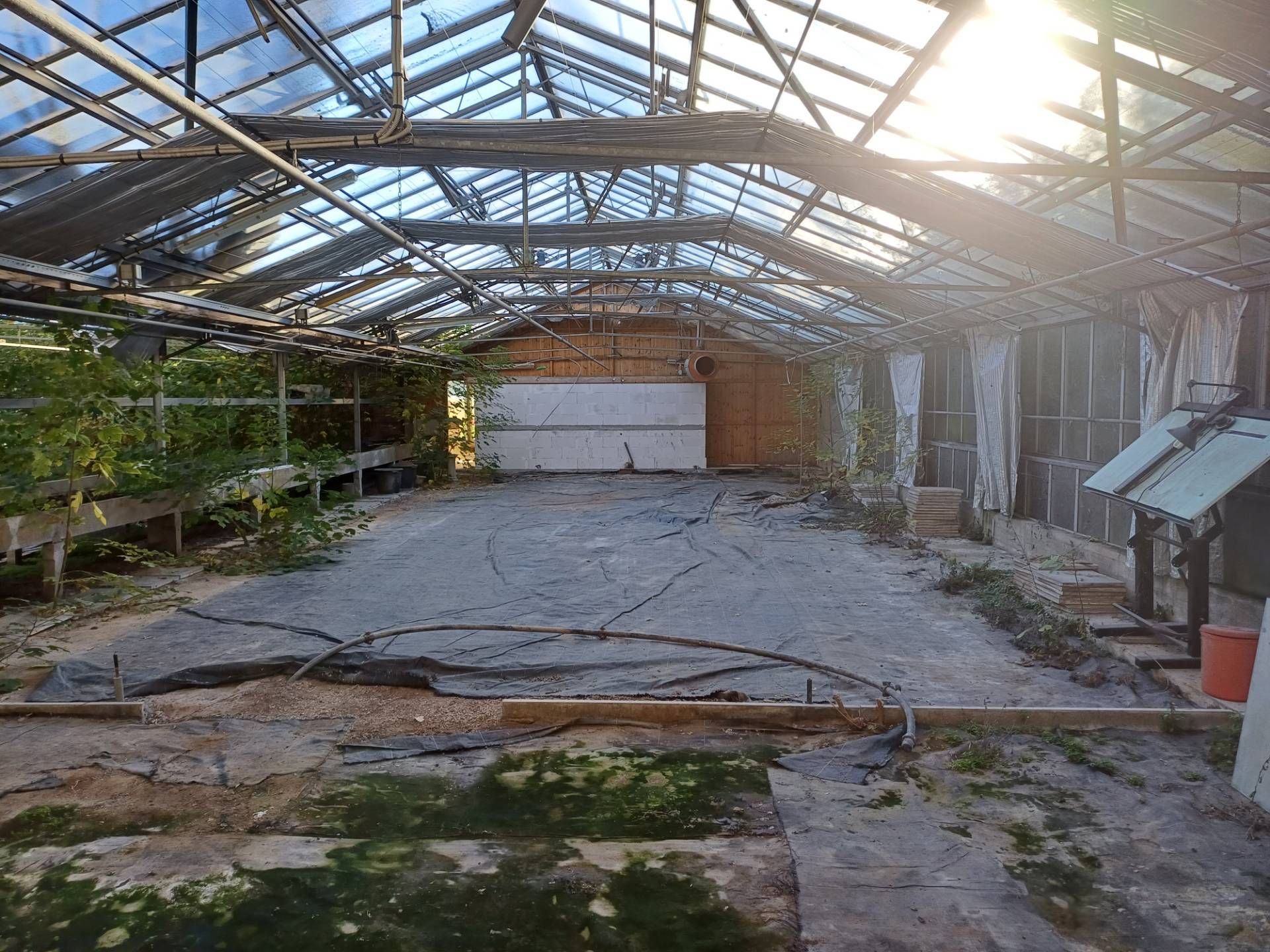 Terreno in vendita a San Giuliano Terme, Pappiana