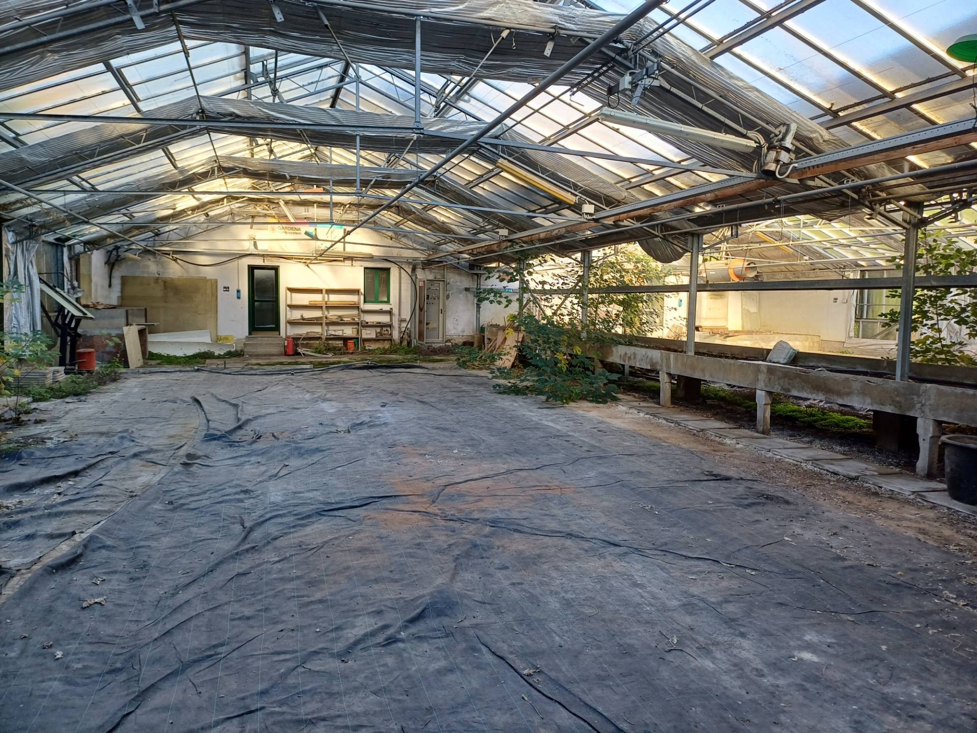 Terreno in vendita a San Giuliano Terme, Pappiana