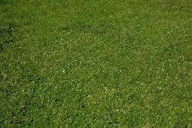 Terreno in vendita a Cascina, Badia