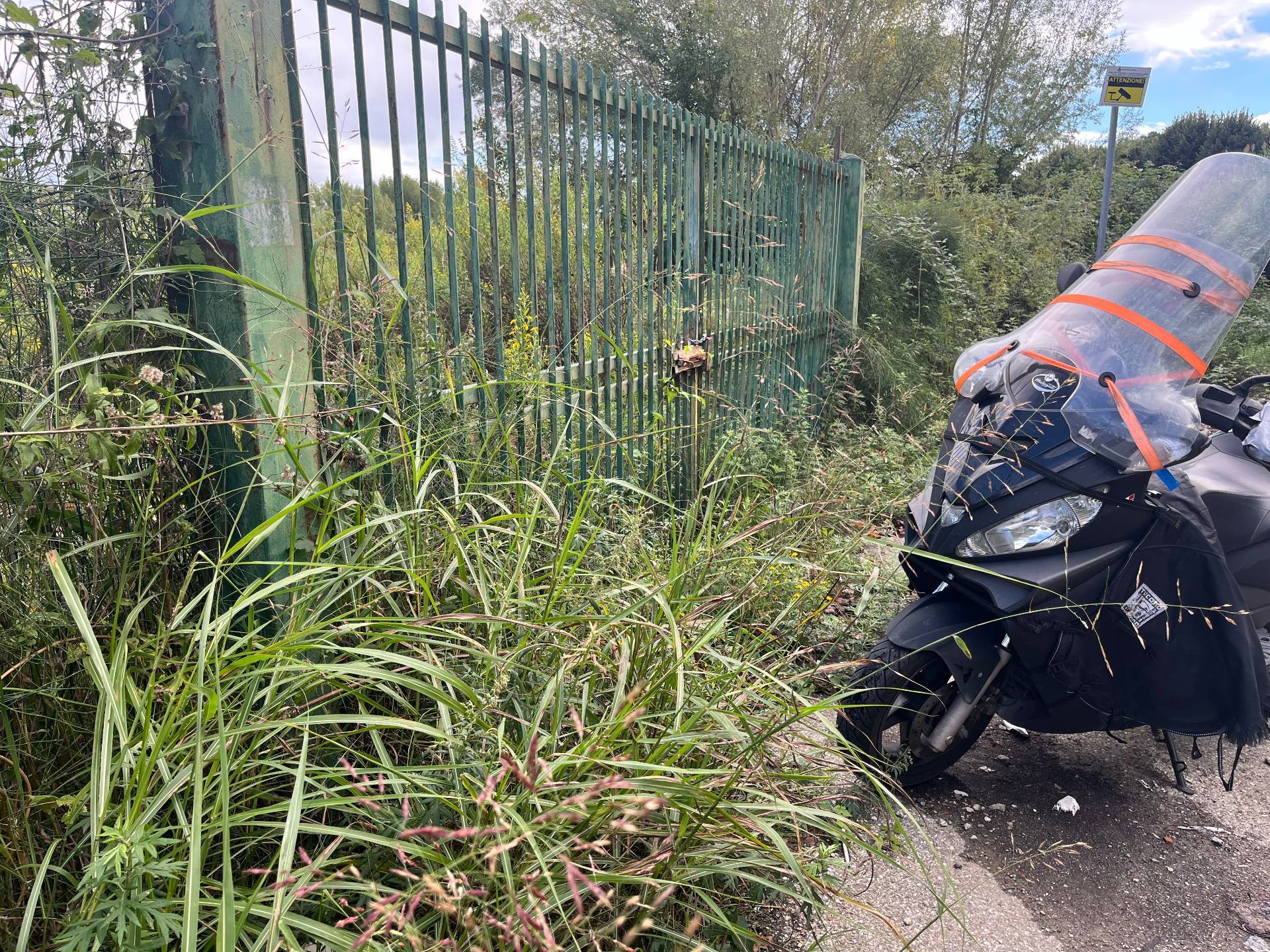Terreno in affitto a Pisa, Porta Fiorentina