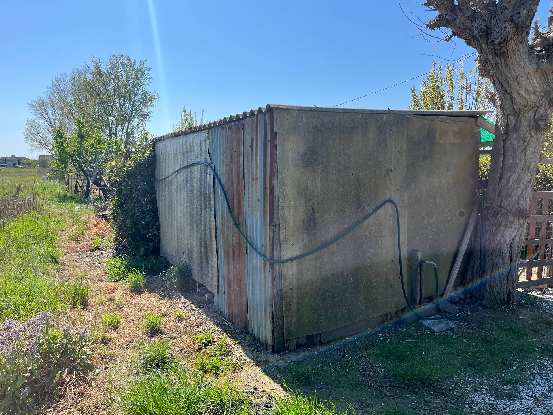 Terreno in vendita a Cascina, Zambra