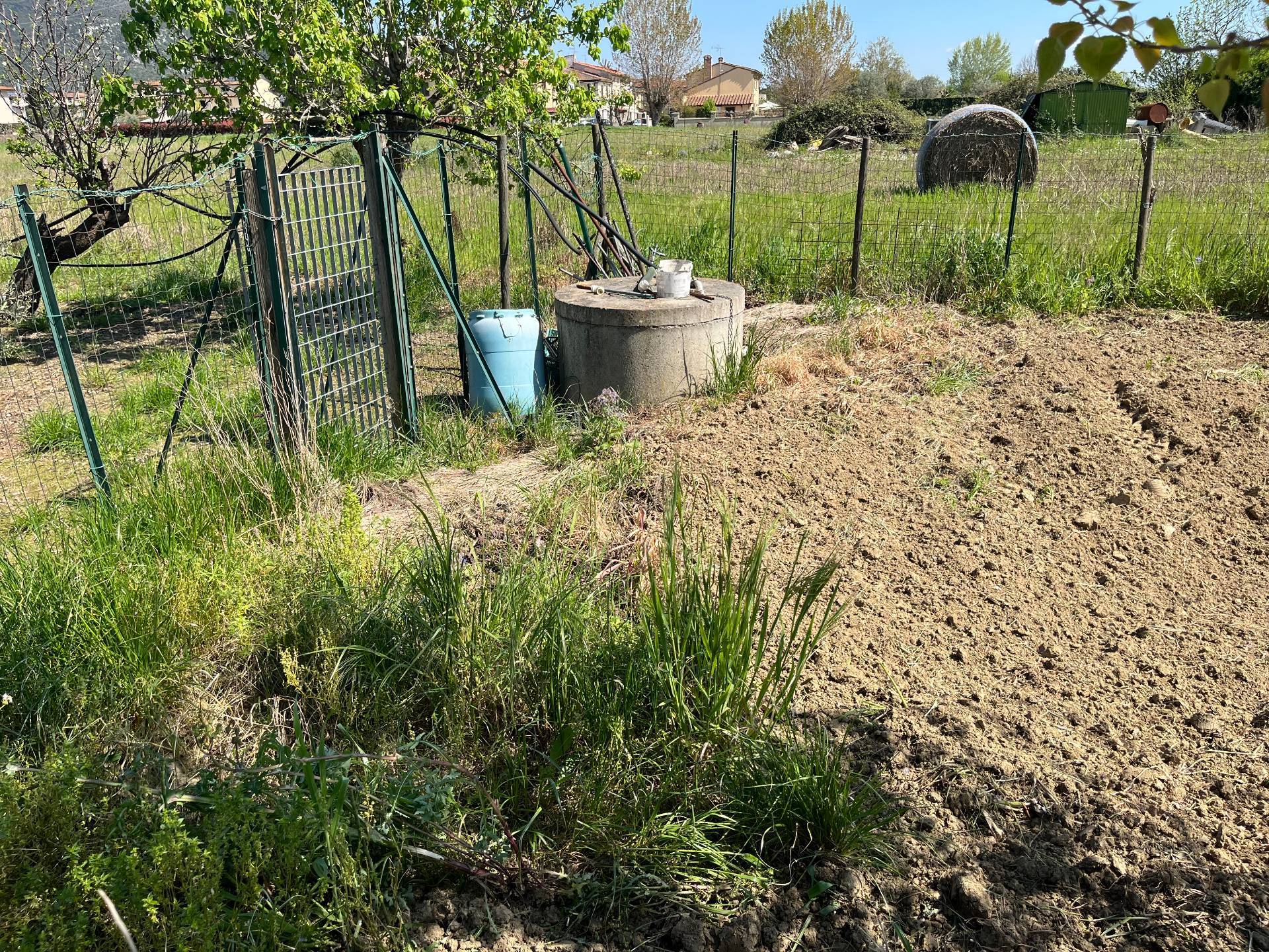Terreno in vendita a Cascina, Zambra