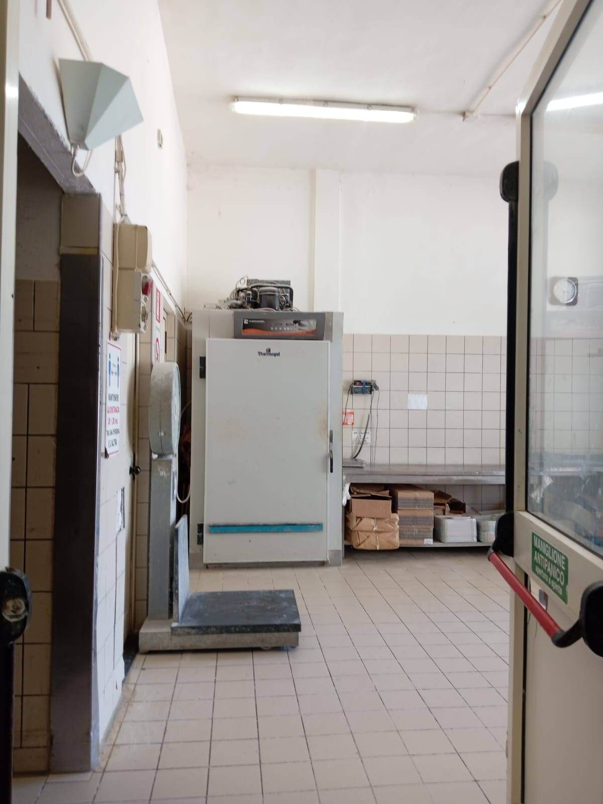 Fondo Artigianale in affitto a San Giuliano Terme, Mezzana