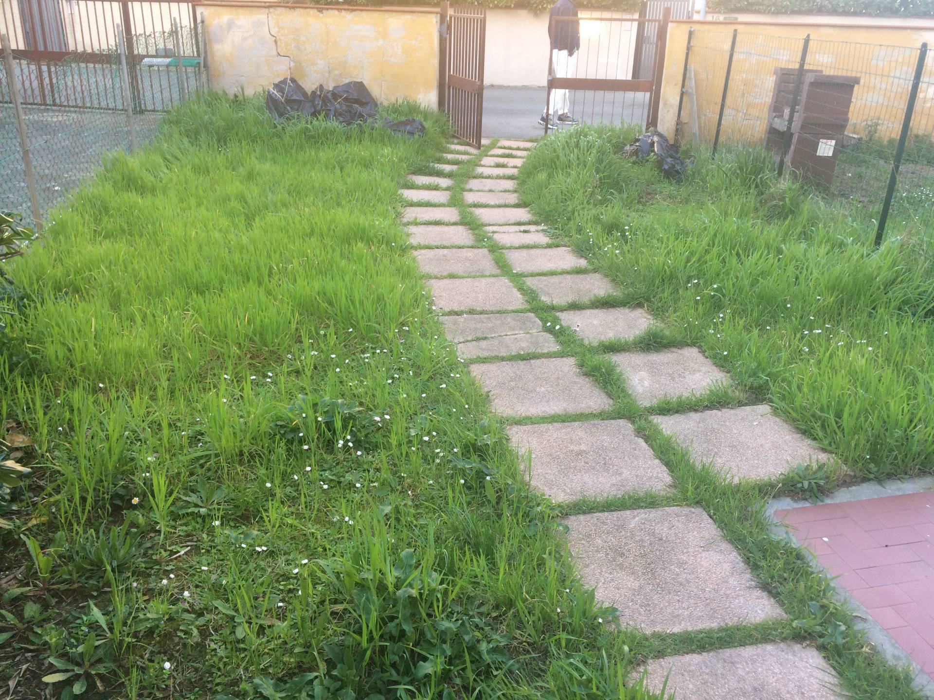 Casa indipendente in affitto a Pisa, Barbaricina