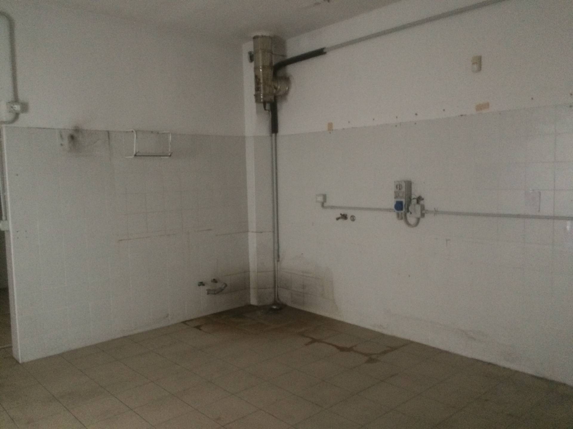 Fondo Commerciale in affitto a Vecchiano, Capoluogo