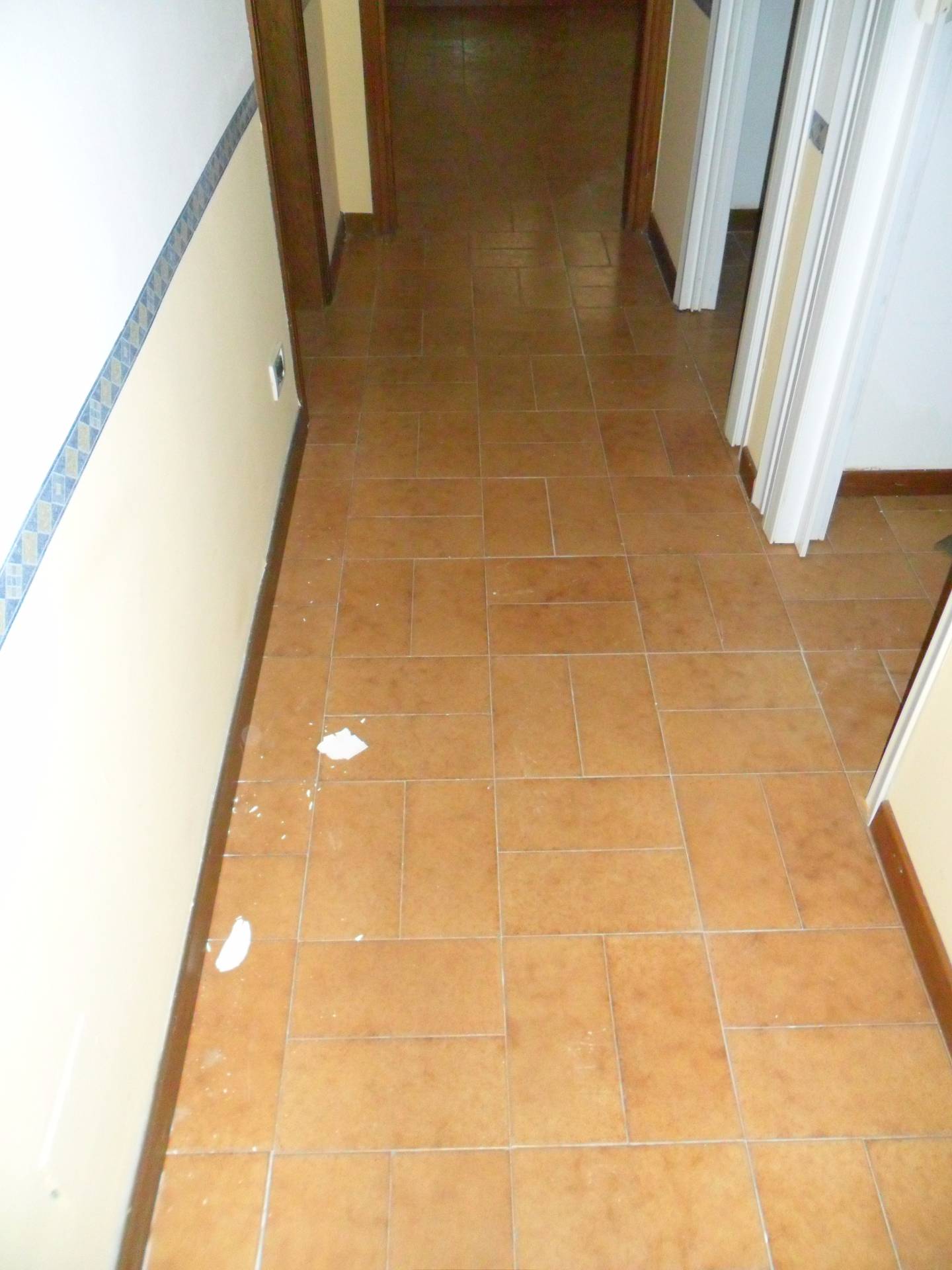 Ufficio in affitto a Pisa, Pisanova