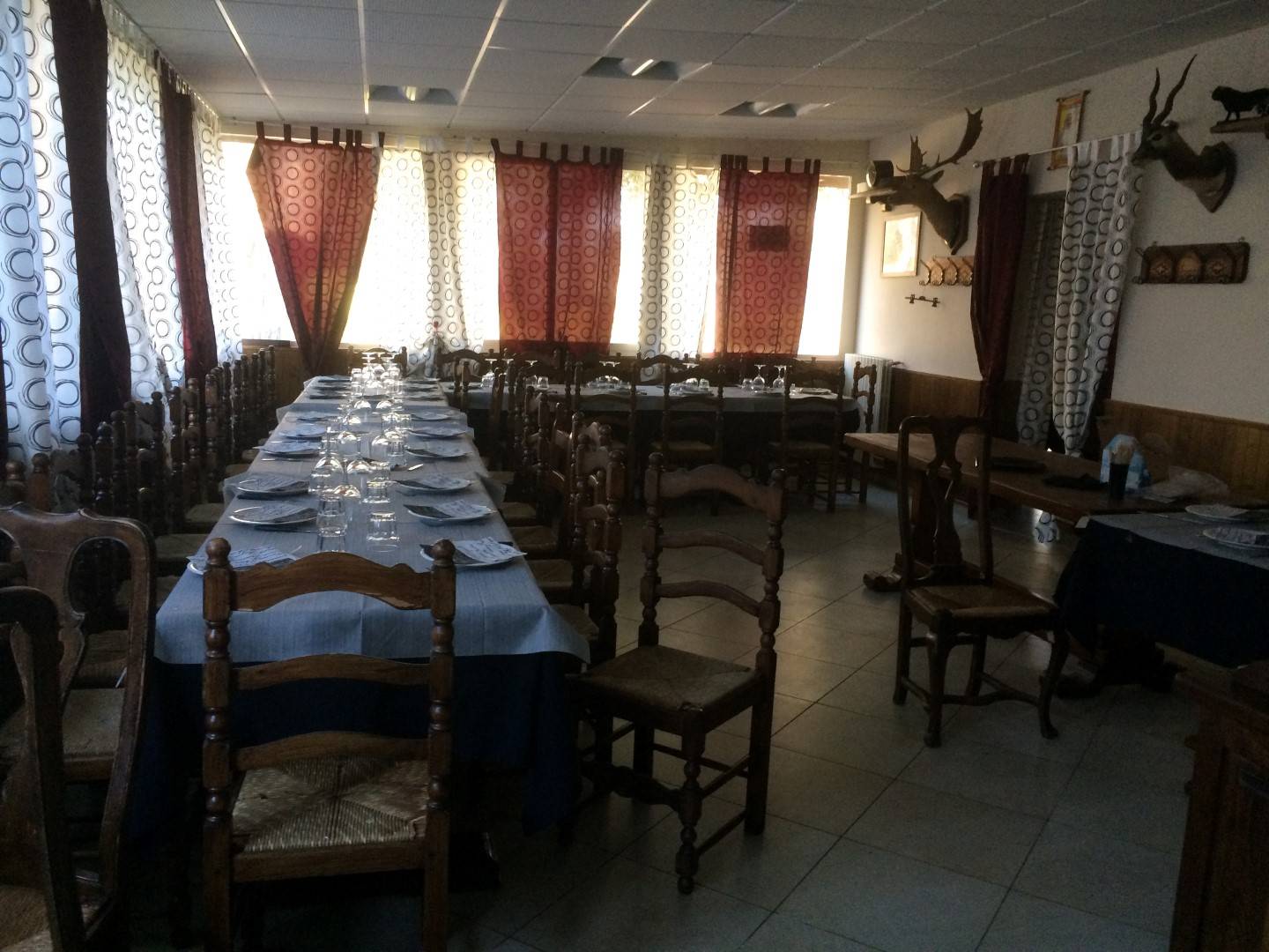 Attivit/licenza in affitto a Pisa, Tirrenia