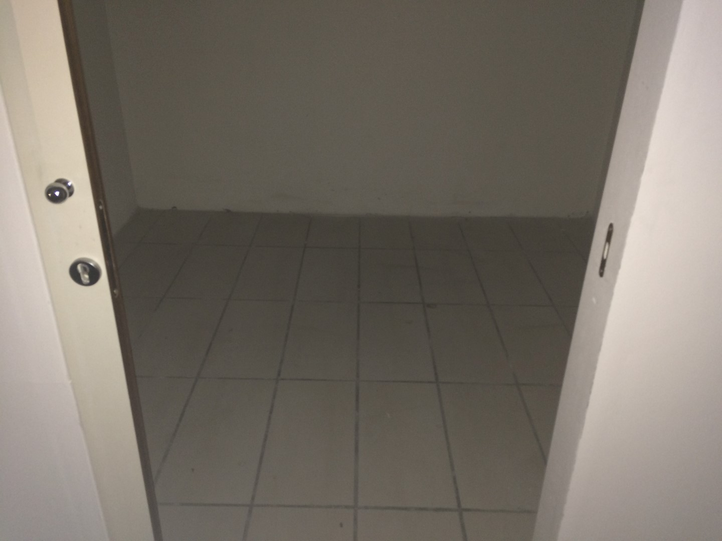 Fondo Commerciale in affitto a Pisa, San Martino